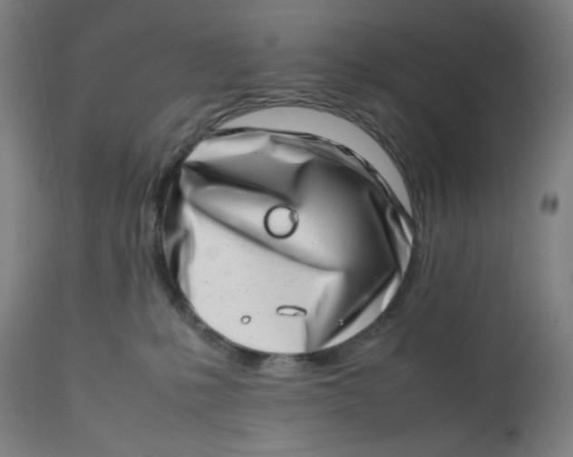 X0000112490231200909071228