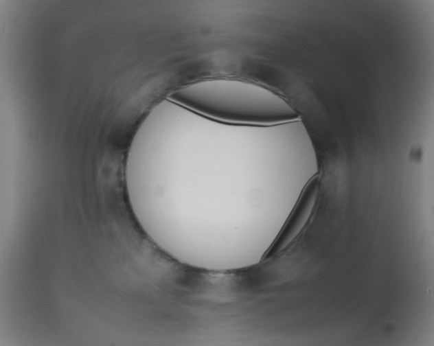 X0000112490233200909071228