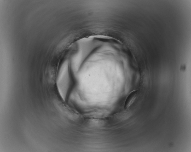 X0000112490234200909071228