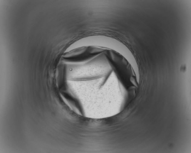 X0000112490235200909071228