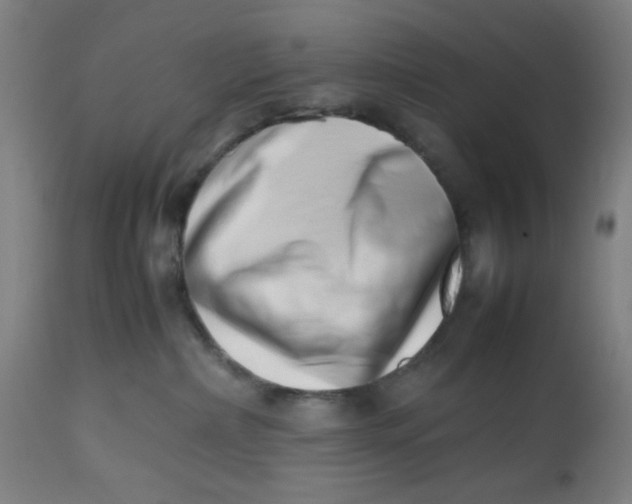 X0000112490236200909071228