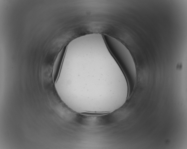 X0000112490237200909071228