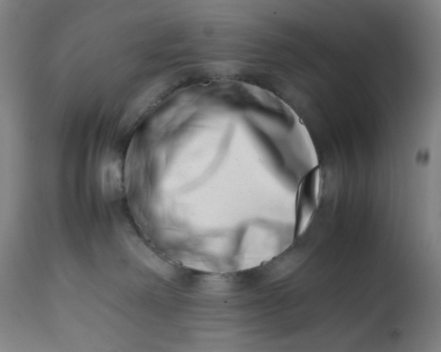 X0000112490238200909071228