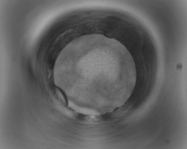X0000112490239200909071228