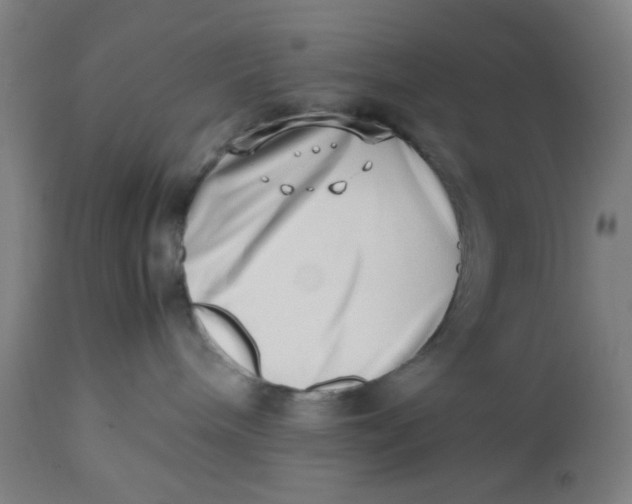 X0000112490240200909071228