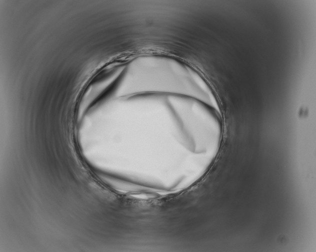 X0000112490241200909071227