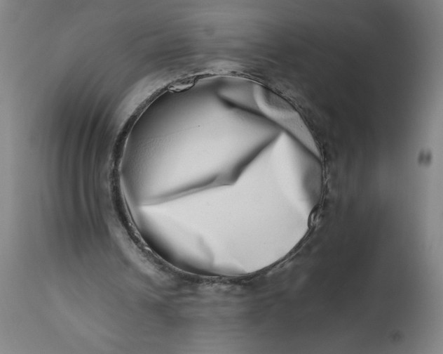 X0000112490242200909071227