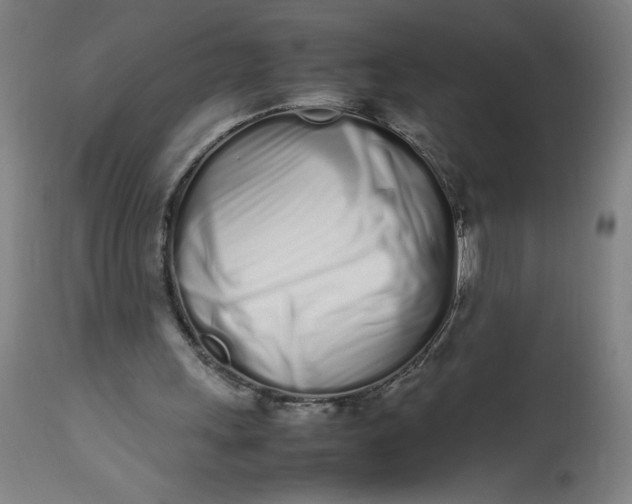 X0000112490243200909071227