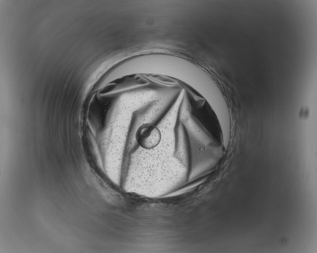 X0000112490244200909071227