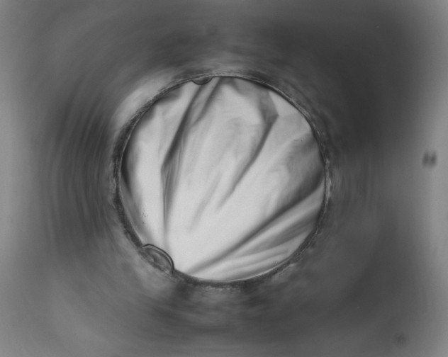 X0000112490245200909071227