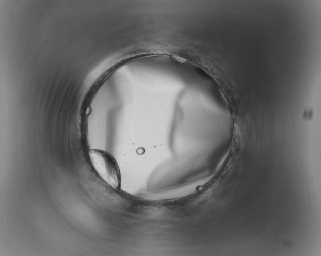 X0000112490246200909071227