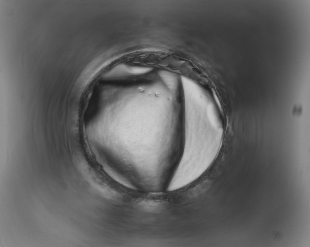 X0000112490247200909071227
