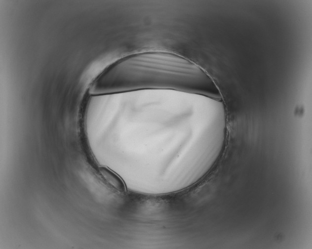 X0000112490248200909071227