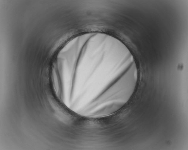 X0000112490250200909071227