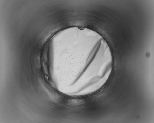 X0000112490251200909071228