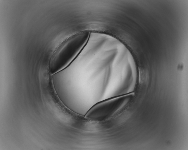 X0000112490252200909071228