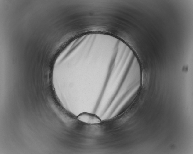 X0000112490253200909071228