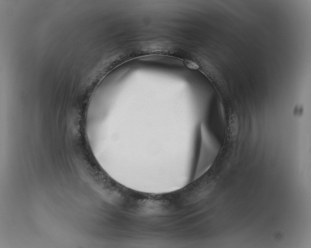 X0000112490255200909071228