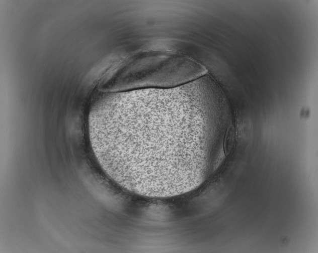 X0000112490256200909071228