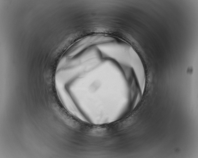 X0000112490257200909071228
