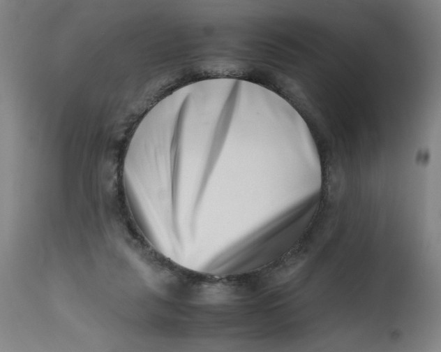 X0000112490259200909071228