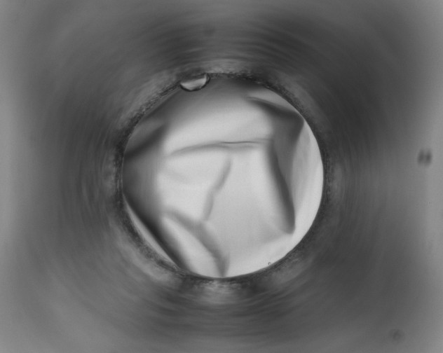 X0000112490261200909071228