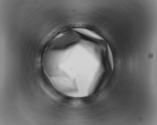 X0000112490262200909071228