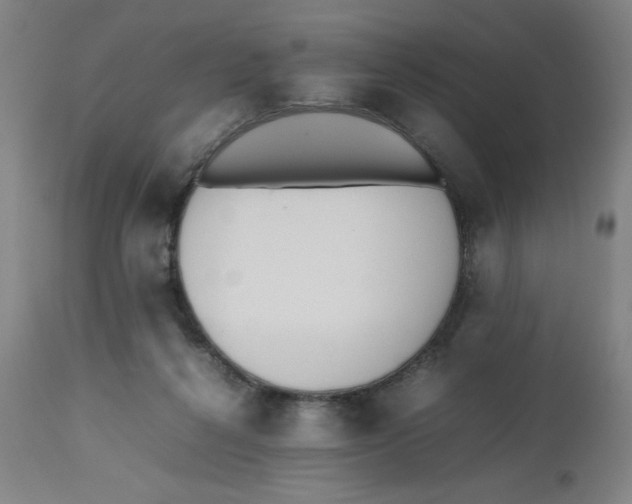 X0000112490264200909071228