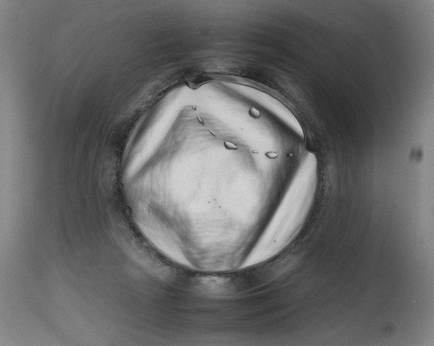 X0000112490265200909071228