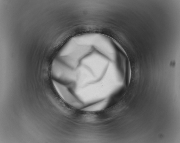 X0000112490266200909071228