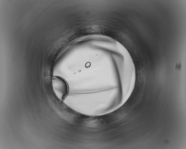 X0000112490267200909071228