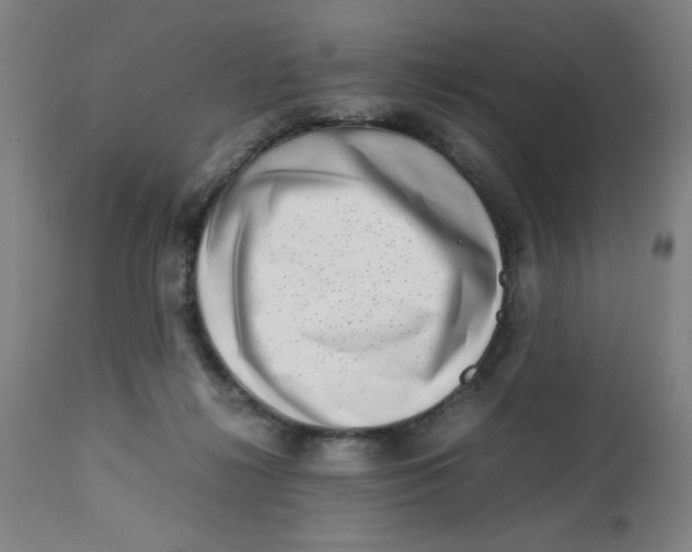 X0000112490268200909071228