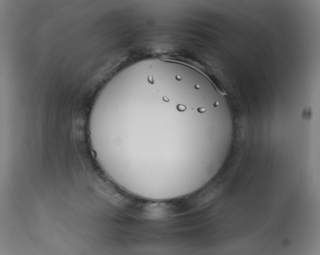 X0000112490269200909071228