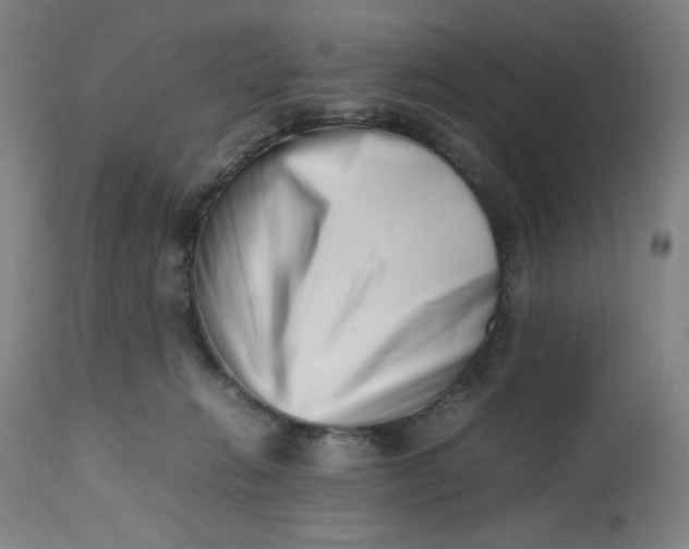 X0000112490270200909071228