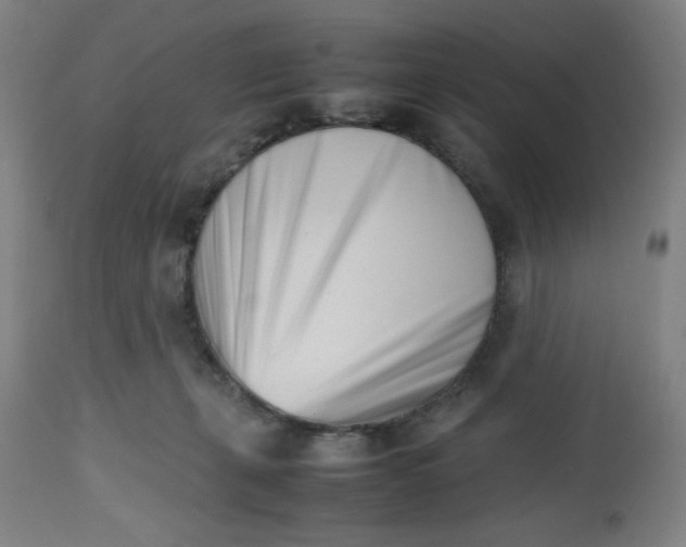 X0000112490271200909071228