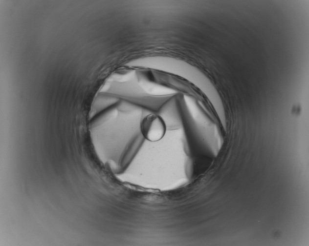 X0000112490272200909071228