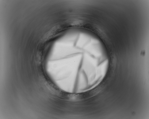 X0000112490273200909071228