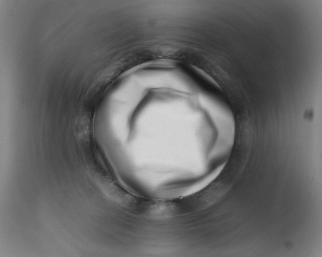 X0000112490274200909071228