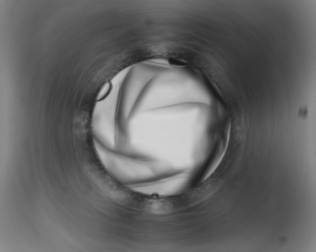 X0000112490275200909071228