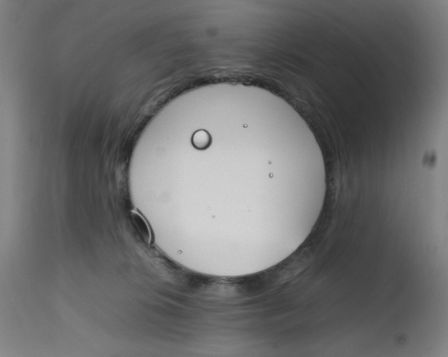 X0000112490276200909071228