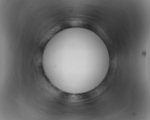 X0000112490277200909071228