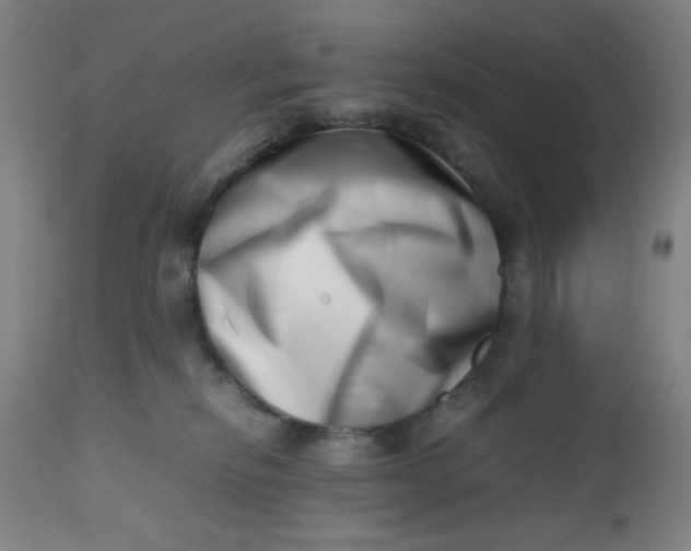 X0000112490278200909071228