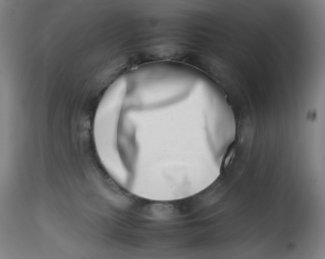 X0000112490279200909071228