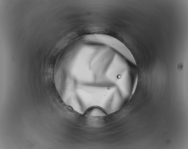 X0000112490281200909071228