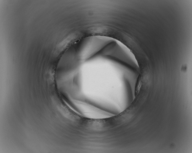 X0000112490282200909071228