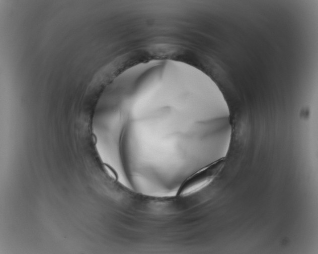 X0000112490283200909071228