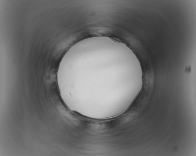 X0000112490284200909071228