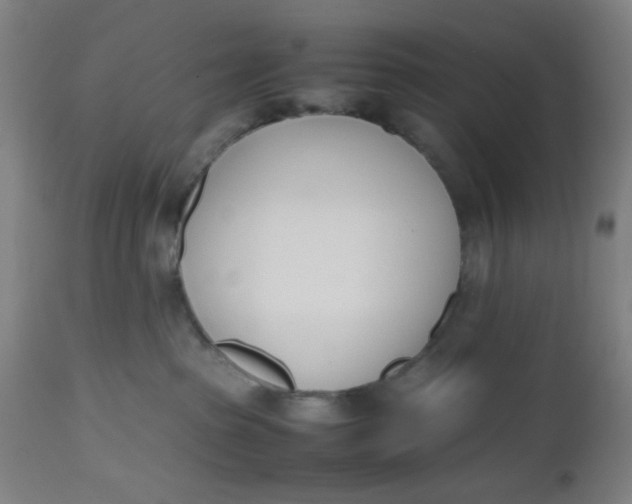 X0000112490285200909071228