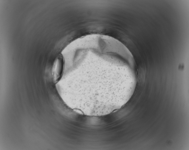 X0000112490287200909071228