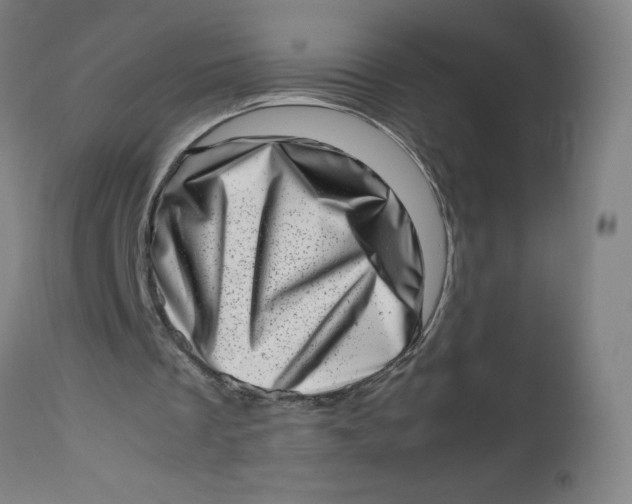 X0000112490289200909071227